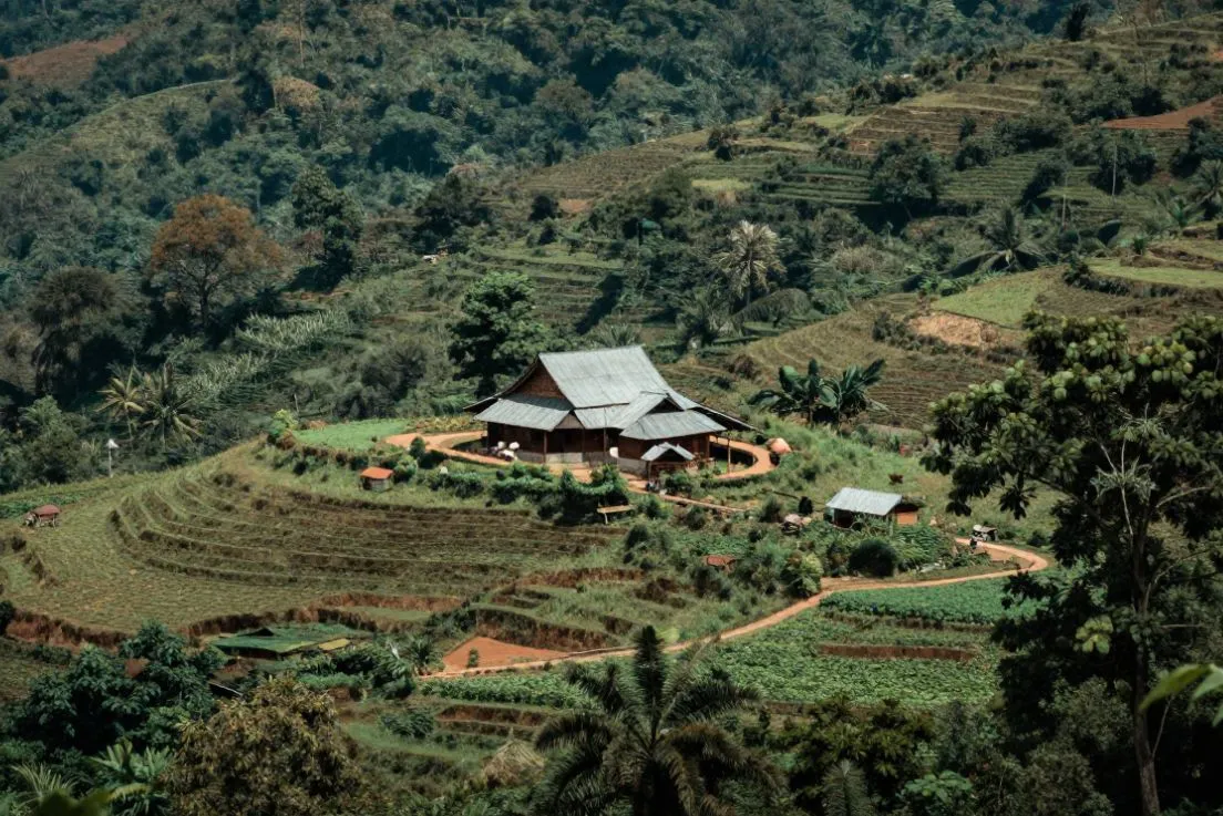 Peaceful jungle stay in Wayanad featured in Kerala nature tour packages
