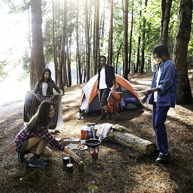 Make memories with friends on a forest camping adventure